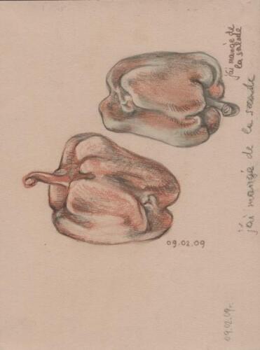 Парижский дневник 12(2037)